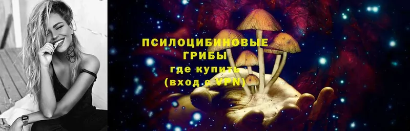 Псилоцибиновые грибы Cubensis  Ветлуга 